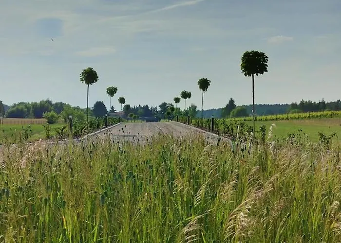 Dom wakacyjny Enodomki Kwilcz